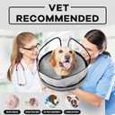 Inflatable Dog Cone Collar-Enhanced Anti-Licking Protective Cone with Adjustable Strap-Soft Dog Donut Collar Recovery Cone for Pets After Surgery(Grey, M)