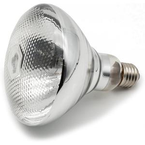 Infrared Heating Lamp Clear Hard Explosion-Proof Glass UV Coating for Animal, Bathroom Warming Light Bulb