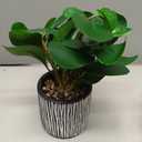 AlphaAcc Fake Plants Real Looking Greenery Artificial Plants Indoor Potted Plant with Rustic Black Clay Planter for Farmhouse Bathroom Bedroom Kitchen Office Table Decor 8"