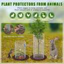 10-Set 12 x 24 Plant Protector from Animals, Hot-Dip Galvanized Metal Mesh Plant Cages, Dual-Secure with U-Stakes & Supports, Animal Barrier to Keep Rabbits & Chickens Out of The Graden, Silver White
