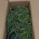 2-Pack Artificial Cedar Topiary Ball Trees 22" Outdoor UV Resistant Faux Cypress Shrubs with Ground Spike, Realistic Evergreen Bushes for Front Porch, Garden, Backyard, and Indoor Decor