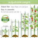 Legigo 4-Pack Tomato Cage for Garden Plant Support- Up to 63inch Garden Stakes Tomato Cage, Tomato Trellis for Potted Plants, Tomato Cages Plant Stakes for Climbing Vegetables Plants Flowers