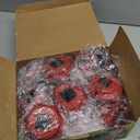 Dynaming 10 Pack Solar Christmas Garden Lights, Outdoor Solar Powered Solar Candy Cane Pathway Markers, Waterproof & Auto On/Off Xmas Decorative Lights for Patio Yard Walkway Driveway Decor, Warm White