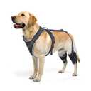 ELEGX Dog Knee Brace for Torn ACL & Hind Leg Support with Side Stabilizers– Adjustable Dog Hip & Leg Brace with Handle for Cruciate Ligament, Arthritis Relief, Joint Stability & Injury Recovery, XL