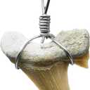Handmade Shark Tooth Necklace