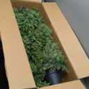 THE BLOOM TIMES 3ft Artificial Topiary Trees Set of 2, 36 inch Faux Cedar Cypress Spiral Topiary Trees Outdoor - Fake Plants for Garden Front Porch Indoor Outside Planter Decor 3 Foot (Cedar Yellow Green)