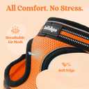rabbitgoo Cat Harness and Leash Set for Walking Escape Proof, Adjustable Soft Kittens Vest with Reflective Strip for Cats, Comfortable Outdoor Vest,Light Orange,L