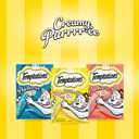 Temptations Creamy Puree Variety Pack of Squeezable Cat Treats, 0.42 oz. Tubes, 16 Count (EXP 02/26/27)