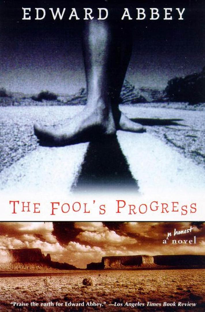 The Fool's Progress: An Honest Novel The Fool's Progress: An Honest Novel