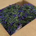 HyeFlora 26'' Artificial Topiary Boxwood Ball Trees with Lavender 2 Pack Fake Plants for Outdoor Indoor Artificial Shrubs with Ground Spike UV Resistant Fake Bushes for Front Porch Garden (Purple)
