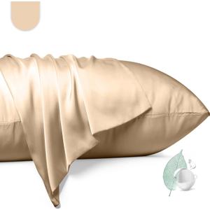 100% Mulberry Silk Pillowcase 2 Pack,Queen Size Silk Pillow Cases for Hair and Skin,Silky Smooth Bed Pillow Cover with Hidden Zipper,Natural Silk Pillow Case Set of 2 (Champagne, Queen 20X30)