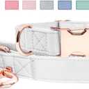 Soft Leather Dog Collar and Leash (6.6') Set - Stylish Rose Gold Heavy Duty Metal Buckle, 4 Adjustable Lengths Leash for Small Medium Large Dogs - Comfortable & Easy to Clean White L(15.4"-24.8")