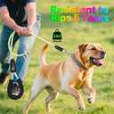 YFbrite 5FT Light up Dog Leash with 15 Flashing Modes - Super Bright LED Dog Leash for Small Medium Large Dogs - Type-c Rechargeable Dogs Leashes Light (Multi-Color, 5FT (150cm))
