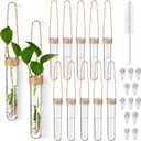 Baderke 12 Pack Plastic Hanging Propagation Tubes Propagation Station Vases Wall Hanging Plant Vase for Planters Hydroponic Office Garden Flowers Decor Lover Gift (Natural Color)