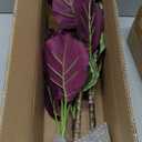 24.8" Artificial Plants Calatheas Orbifolia Goeppertia Orbifolia Plant Tropical Faux Green Plant Arrangement in Pot for Home Garden Office Decoration (Type #5)