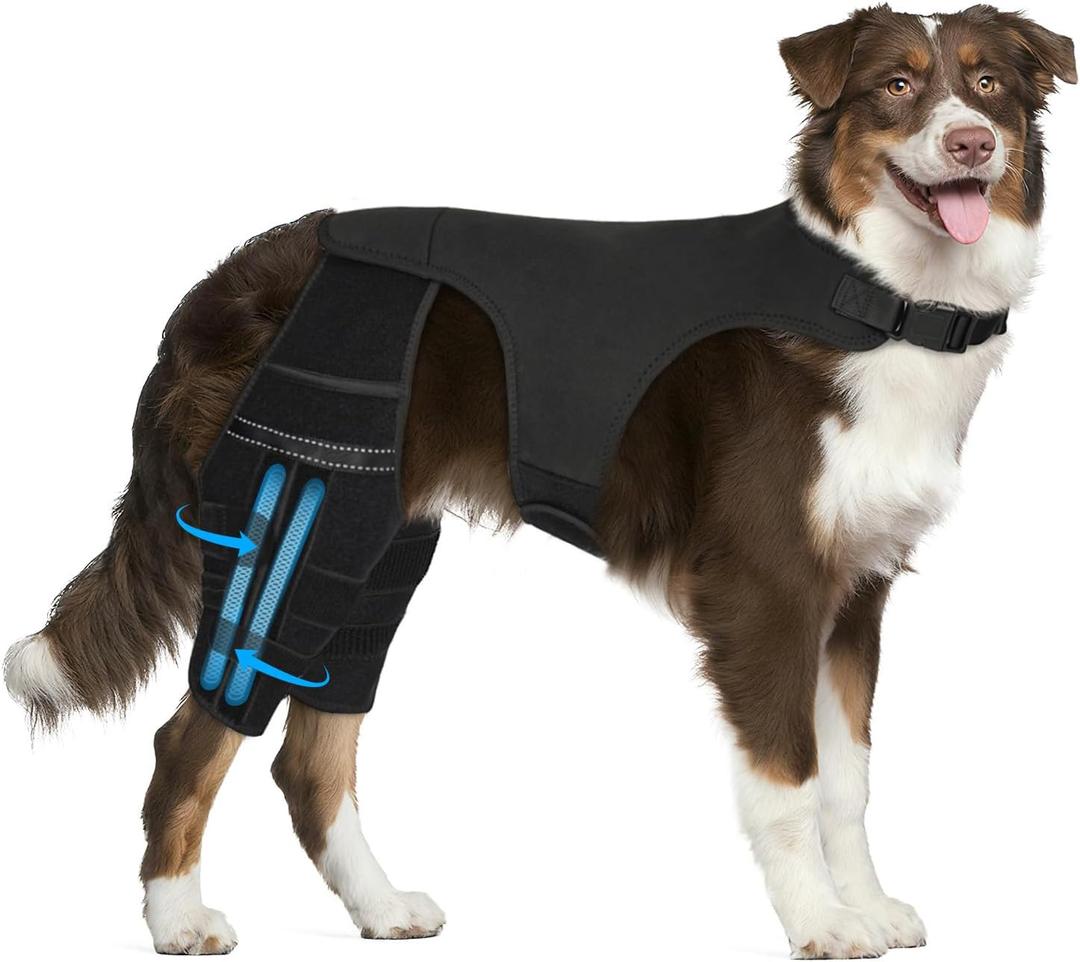 Dog Knee Brace for Torn Acl Hind Leg, 4 Stabilizers Dog Leg Braces for Back Leg, Adjustable Hip Support to Reduces Pain, Ligament Injuries, Luxating Patella, 2XL