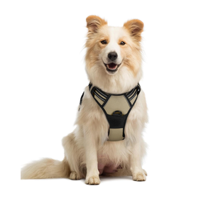 rabbitgoo Dog Harness No Pull with 2 Leash Clips, Adjustable Soft Padded, Reflective Oxford No Choke Pet Vest with Easy Control Handle for Medium Sized Dogs, Beige, M
