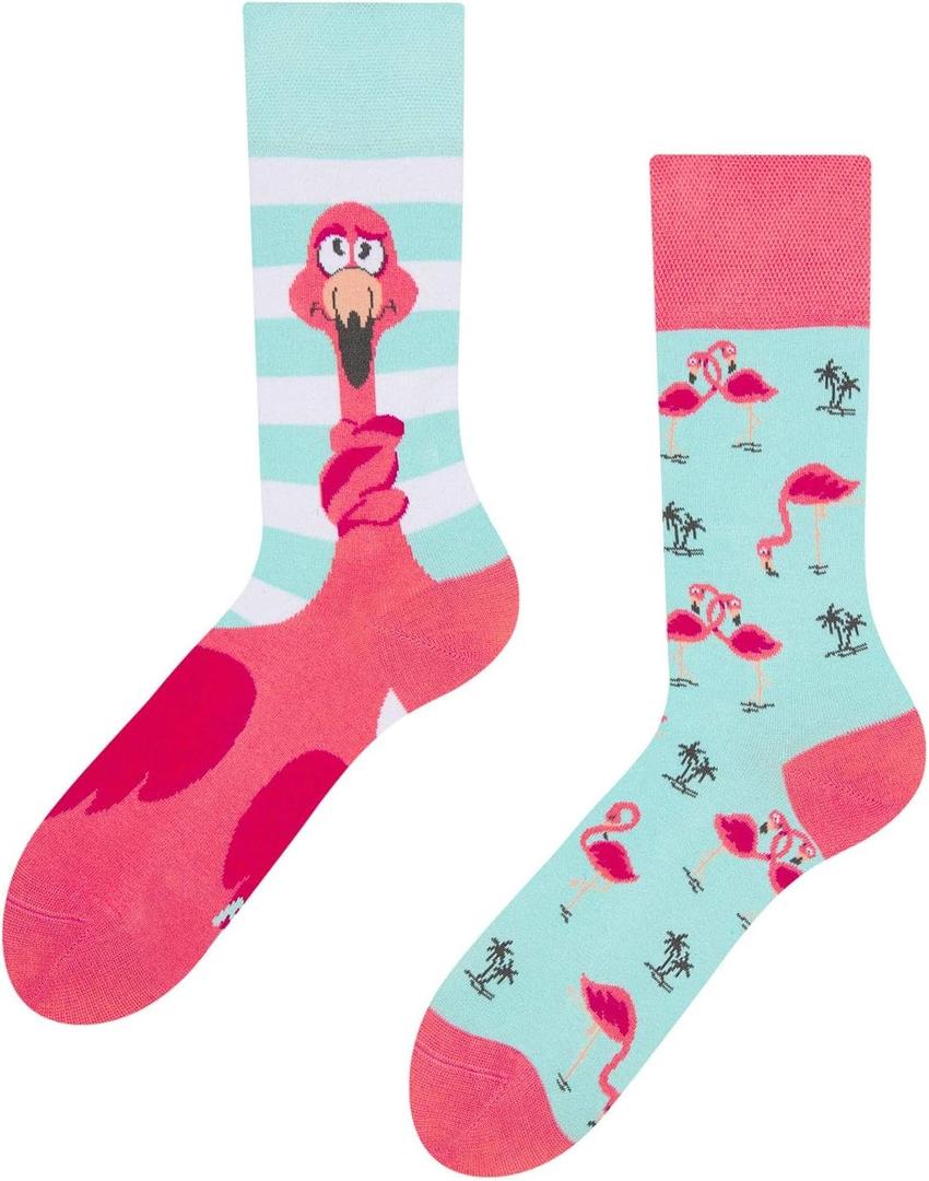4 x Dedoles Unisex Socks for Women, Men and Kids Cotton Funny Designs Soccer Bicycle Horses Plants Gift Left Right Different (5-8 women / 3.5-6 men, Entangled Flamingo)