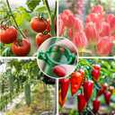 300 Pcs Plant Support Clips - Plastic Clips for Garden Netting Climbing Plants, Tomato Vine Clipsfor String Trellis,Grape Vine Clips to Grow Upright Makes Plants Healthier (Green)