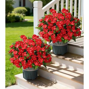 Artificial Flowers for Outdoors, 2 Set Fake Potted Flowers 12 Bundles UV Resistant Realistic Silk Faux Impatiens with Pot for Outside Balcony Garden Window Box, Red