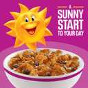 2 x Kelloggs Raisin Bran Breakfast Cereal, High Fiber, 28g Whole Grain, Large Size, 20.9 oz