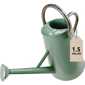 Watering Can for Outdoor&Indoor Plants1.5 Gallon5.7L Metal Watering Can with with Removable SpoutLarge Galvanized Steel Garden Flower Water Can Watering Pot with 2 HandlesCream Green