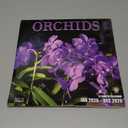 RED EMBER Orchids 2026 Wall Calendar 12 Month | 12" x 24" Open | Thick & Sturdy Paper | Holiday Gift | Flower Nature Calendar 2026