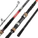 BERRYPRO Surf Spinning Rod Full Carbon Surf Fishing Rod Meduim Action Surf Rod (11'-2pc)