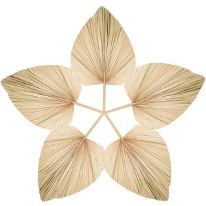 5 Pcs Large Natural Boho Dried Palm Leaves Fans with Stem, Natural, Tropical Palm Flowers Bouquet Boho Wedding Decor for Vase, Baby Shower, Anniversary, Home