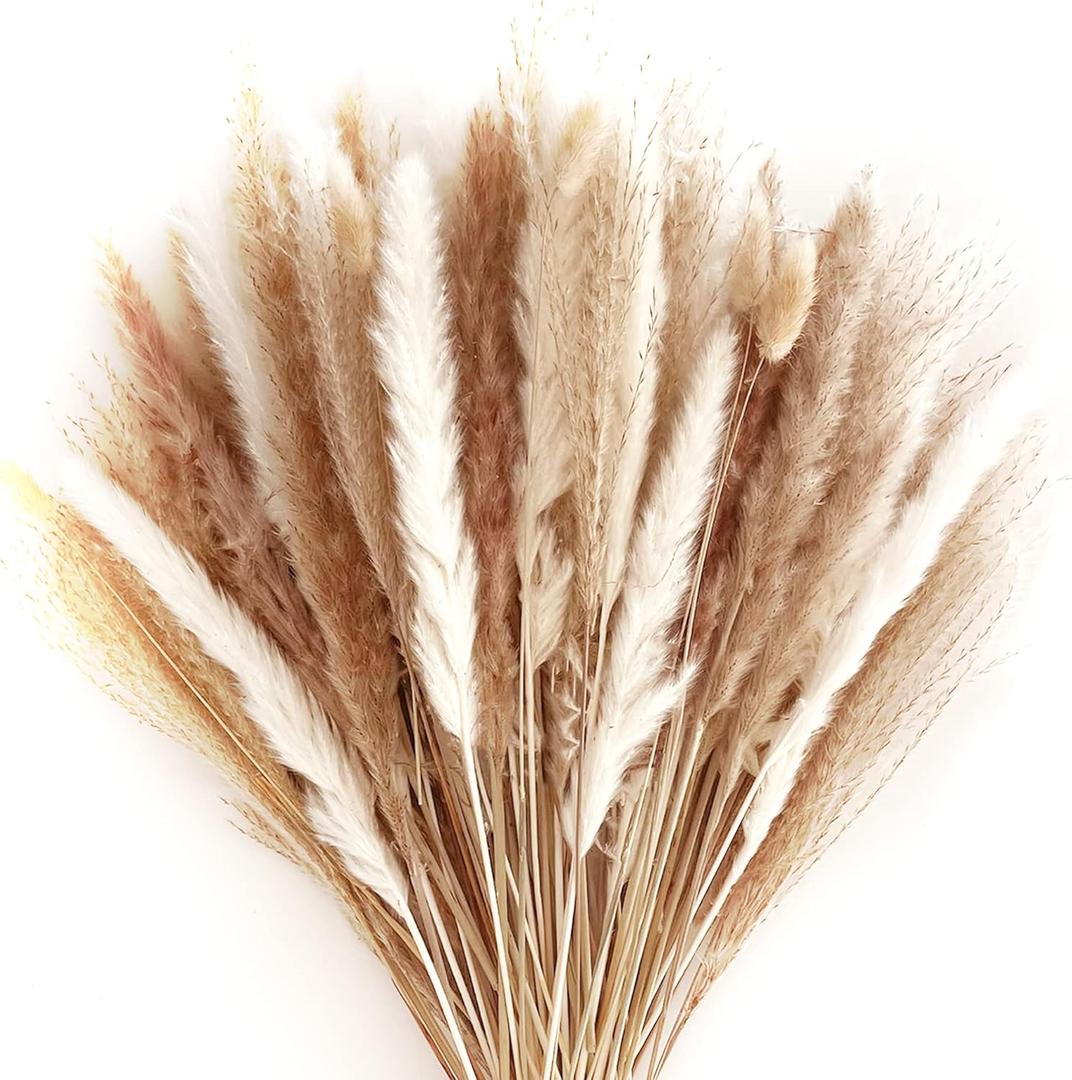 80pcs-Natural Dried Small Pampas Grass Bouquet-20pcs White Pampas, 20pcs Brown Pampas, 30pcs Reed Grass, 10pcs Beige Bunny Tail-22.4" Fluffy Dried Branches Bundle-Home Decor,Wedding Plant Arrangements