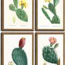 4pcs Vintage Cactus Wall Art Arizona Plants and Flowers Posters Prints Succulents Watercolor Pictures Painting Green Cactus Canvas Wall Decor for Kitchen bathroom Unframed