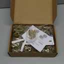 Ravinte 50 Pack 25 Pairs Semi-Overlay 1/2 inch Self-Closing Face Frame Cabinet Hinges Gold Half Wrap-Around Kitchen Cabinet Door Hinges Face Mount Cabinet Hardware