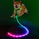 YFbrite 5FT Light up Dog Leash with 15 Flashing Modes - Super Bright LED Dog Leash for Small Medium Large Dogs - Type-c Rechargeable Dogs Leashes Light (Multi-Color, 5FT (150cm))