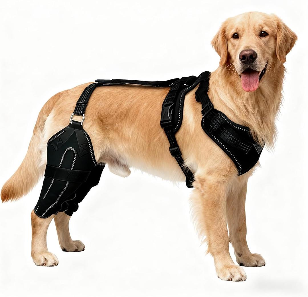 Adjustable Dog Knee Brace for Both Hind Legs - Support for ACL/CCL, Luxating Patella, and Cruciate Ligament Injuries with Secure Wrap, L