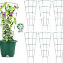 6-Pack Indoor Plant Trellis - 24 Inches, Heavy-Duty Metal for Climbing Houseplants, Flowers, Vines, and Ivy