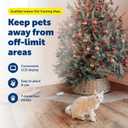 PetSafe ScatMat Indoor Training Mat, Curved