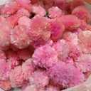 Premium Quality Artificial Marigold Flower Garlands 5 Feet Long Each for Parties Indian Weddings Theme & Home Decoration Photo Prop Festival (Color : Pink) (Pack of 5)