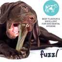 2 x Fuzzl Ultra Tough Nylon Dog Chew Toy - Crossbone and Bone Beef Flavour for Extreme Chewers - Long Lasting Bone for Aggressive Chewers - Strong Puppy Toys