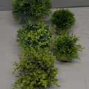 Lemonfilter Fake Plants 5 Pack Mini Faux Artificial Eucalyptus Greenery Plastic Small Green Grass Potted Plants for Office Balcony Shelf Desk House Bathroom Farmhouse Room Coffee Table Decor Indoor