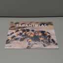 Tarantula Calendar 2025 Monthly Wall Calender | American Made In The USA