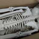 HBSTK 2 Pack 36 Inches Halloween Skeleton Full Body Posable Movable Jonints for Halloween Decoration Dcor, 2 Pack 40Inch Skeleton