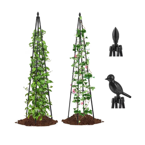 AlisisFores 2 Pack Garden Trellis for Climbing Plants Outdoor,63inch Tall Rustproof Metal Obelisk Trellis Support for Potted Vines Vegetable Plants Indoor Outdoor, Lightweight