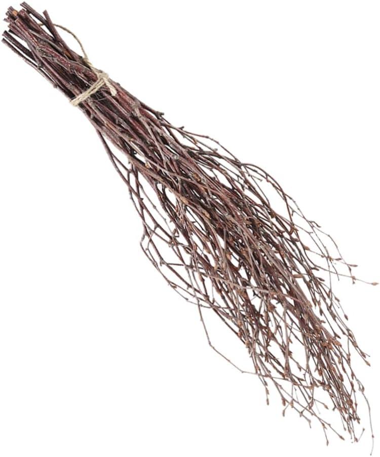 PRETYZOOM 10pcs DIY Home Decor Birch Branches Dry Wooden Sticks Versatile for Decor Wreath Making