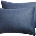 JELLYMONI 2 Pack Blue Velvet Pillowcases Standard Size - Ultra Soft Flannel Pillow Covers with Envelope Closure (Pillows are not Included)