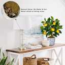 Artificial Potted Plants, 15.7 inches Small Fake Lemon Tree Artificial Lemons Citrus Tree with Blue and White Pot Faux Potted Plants Indoor Lemon Decorations for Home, Office, Living Room Table, Desk