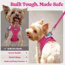 rabbitgoo Dog Harness Small Sized and Leash Set, Step in Soft Light Puppy Vest, Breathable Mesh Pet Harness, Reflective for Safe Easy Walking, Rose Red S