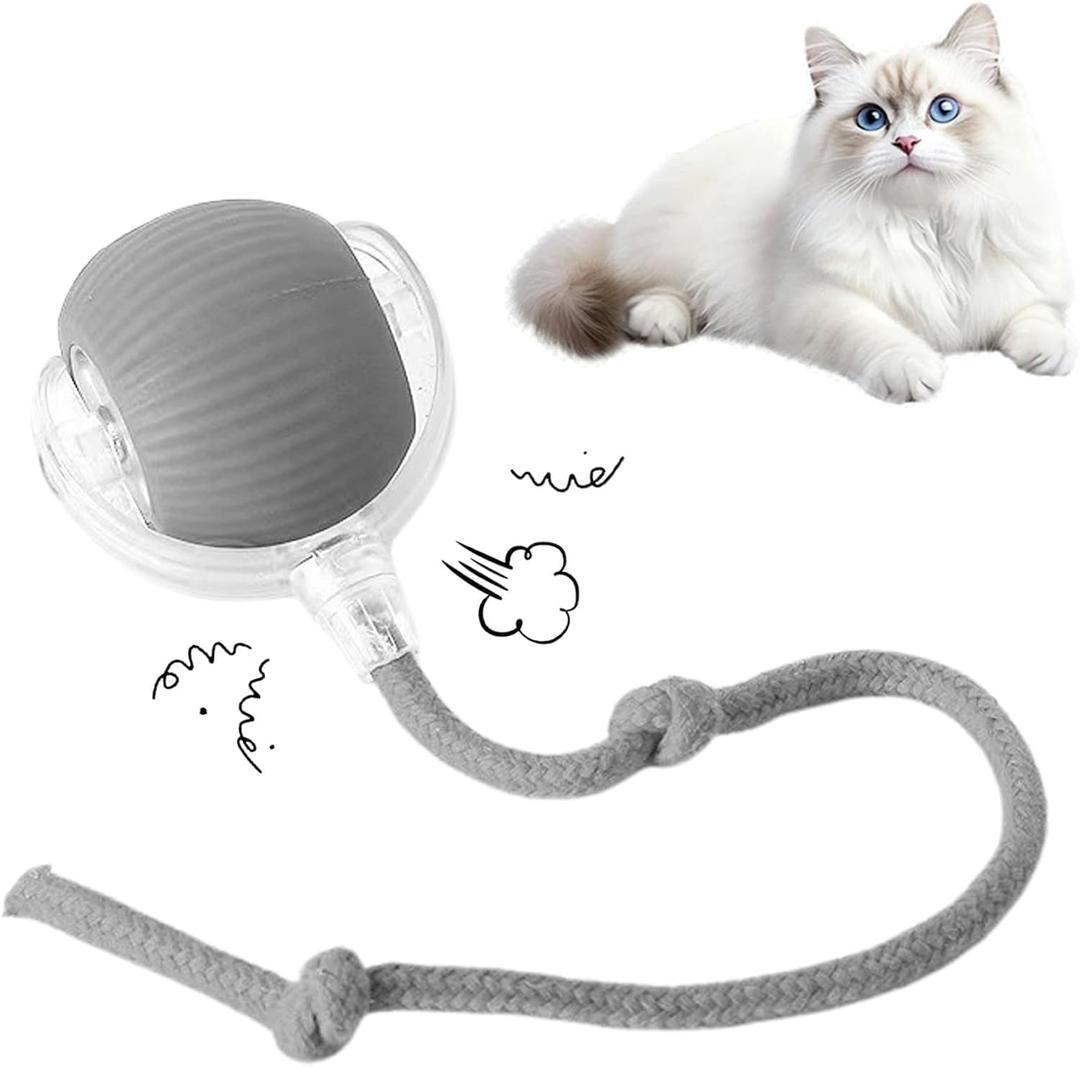 Cat Toy, 360 Automatic Rolling Smart Pet Ball Toys, Motion-Activated, Rechargeable, Four Modes, Three Speed Adjustment, Solve Your Cat's Boredom in Seconds (Grey) (Gary)