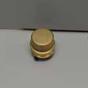SharkBite 1-1/4 Inch Push Cap, Push to Connect Brass Plumbing Fitting, PEX Pipe, Copper, CPVC, PE-RT, HDPE, UXL0435