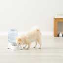 Amazon Basics Gravity Pet Water Dispenser for Cat and Dog, Easy to Clean, 1 Gallon Capacity, Small, Gray