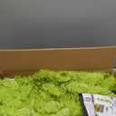 Whimsical Christmas Tree - Christmas Decorations - 6ft Pre-Lit Artificial Tree with Timer Remote Control 150 LED Lights - Xmas Holiday Decor for Indoor Home Living Room Office